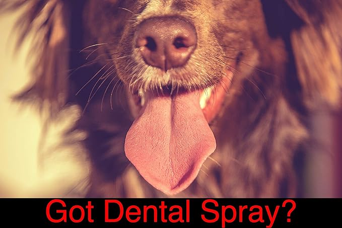 Warren London Doggy Dental Spray & Water Additive | Fresh Breath for Dogs & Cats | Natural Peppermint & Honey Formula for Teeth & Gums | Easy Dog Mouth Spray or Water Bowl Add-in | Made in USA – 8 oz