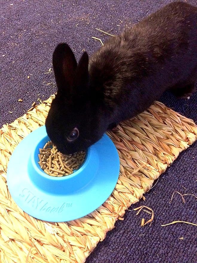 Tip-Proof Ergonomic Pet Bowl for Guinea Pig and Other Small Pets; 1/4-Cup Size; Sky Blue