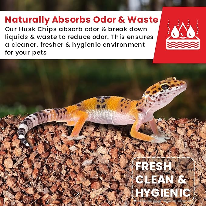 ReptiCare Coco Chips Brick 6 Pack, upto 7Q Each- Organic Coconut chips Substrate for Reptiles, Bearded Dragons, Ball Pythons, Tarantulas, Hermit Crabs, Turtles, Tortoises, Snake and Gecko Bedding