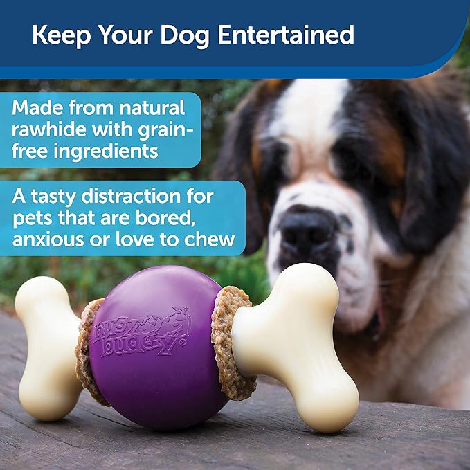 PetSafe Busy Buddy Bouncy Bone, Treat Holding Dog Toy, Medium/Large, Best for Dogs 50-90 Lb.
