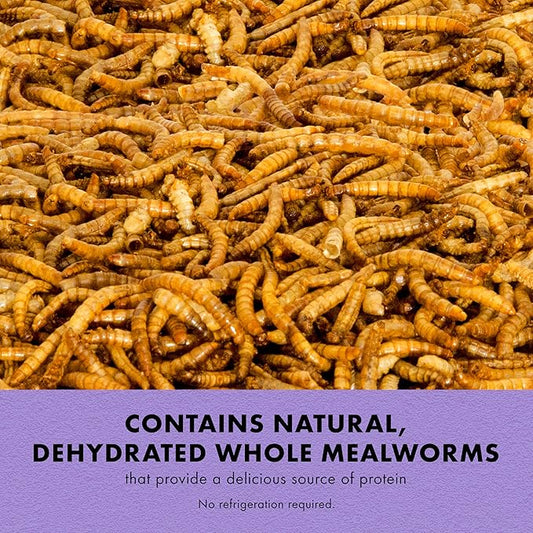 Zilla Reptile Munchies, Mealworms, All-Natural, Dehydrated Mealworms, Ideal for Bearded Dragons, Leopard Geckos, Chameleons and other lizards, Resealable Bag