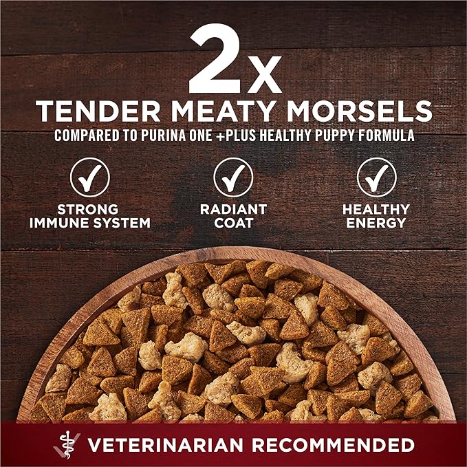 Purina ONE True Instinct with Real Chicken and Duck High Protein Puppy Food Formula Natural with Added Vitamins, Minerals and Nutrients - 27.5 lb (Pack of 1)