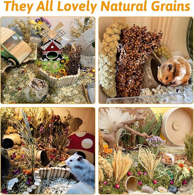 Fhiny Natural Hamster Bedding Mate, Edible Hamster Sprays Flowers & Herbs Gerbil Habitat Enclosure Decor Grain Treats Cage Accessories for Syrian Dwarf Hamster Gerbil Lemming Degus Mice