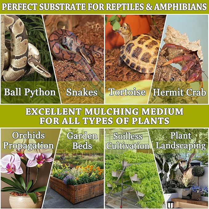 ZeeDix 3 Pack Coconut Husk for Reptiles, Organic Coconut Fiber Reptile Terrarium Substrate, Coco Husk Chips Reptile Bedding for Snakes, Tortoises, Ball Python, Geckos, Lizards, Hermit Crab, Tarantula