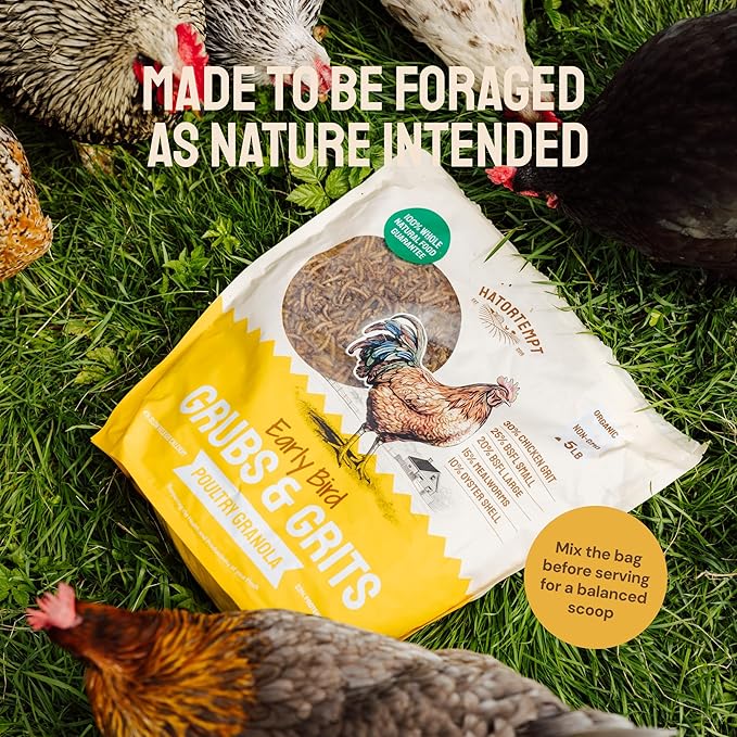 Hatortempt Grubs & Grits Chicken Feed Supplement - 5lb - with Chicken Grit, Mealworms, Black Fly Larvae and Oyster Shells - 21% Protein and 15% Calcium