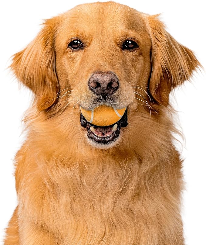 Playology Dog Toys | Squeaky Chew Ball for Dogs| Cheddar Cheese Scented Medium Dog Ball | Bouncy Floating Dog Balls