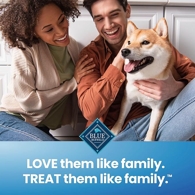 Blue Buffalo Medium Dental Chews for Dogs, Daily Dental Care Dog Treats Made in the USA with Natural Ingredients, Chicken & Spearmint (14 Count) (Pack of 4)