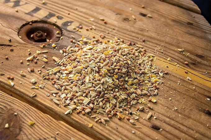New Country Organics | Chicken Feed | Scratch Feed for Adult Poultry | Soy-Free | 9% Protein | Certified Organic and Non-GMO | 40 lbs