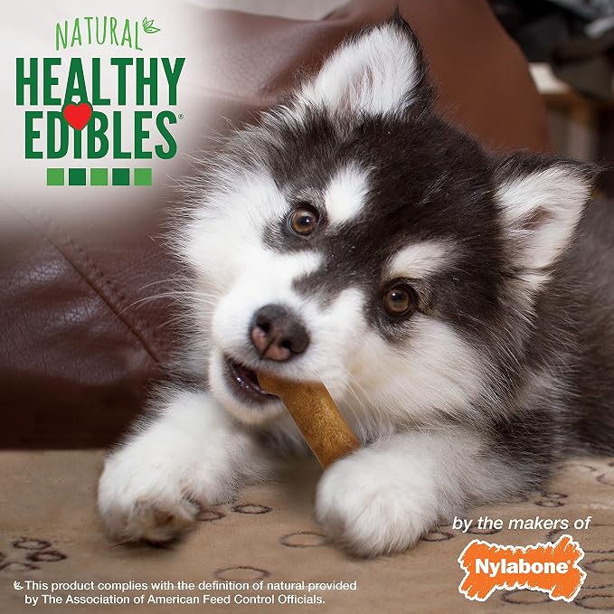 Nylabone Healthy Edibles Natural Puppy Chews Long Lasting Treats for Puppies, Lamb & Apple Dog Treats, X-Small/Petite (4 Count)
