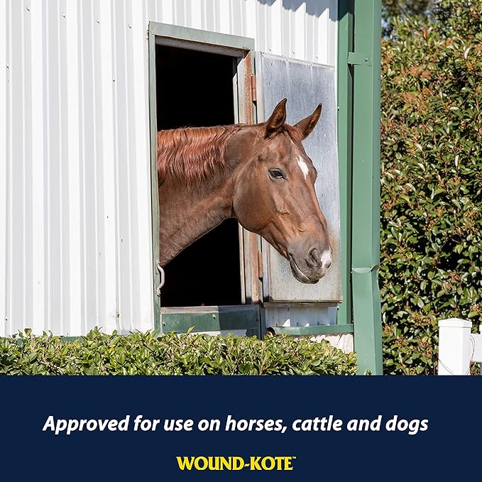 Farnam Wound-Kote Blue Lotion Spray Horse Wound Care, Antiseptic Spray for Dogs and Horses, Minor Wounds, Cuts and Sores, 7 Oz.