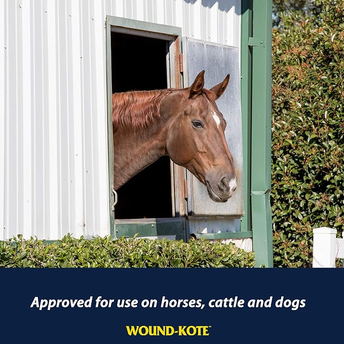 Farnam Wound-Kote Blue Lotion Spray Horse Wound Care for use on Horses and Dogs, Antiseptic Properties, for Minor Wounds, Cuts and Sores, 5 Oz