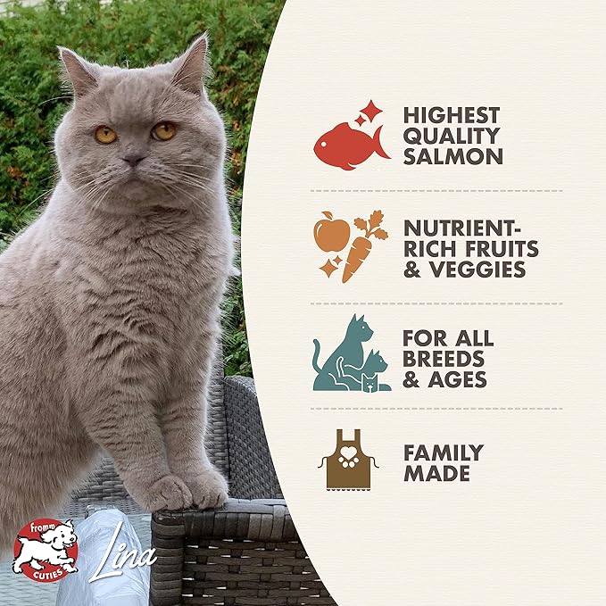 Fromm Four-Star Nutritionals Salmon Tunachovy Cat Food - Premium Dry Cat Food - Salmon Recipe - 10 lb