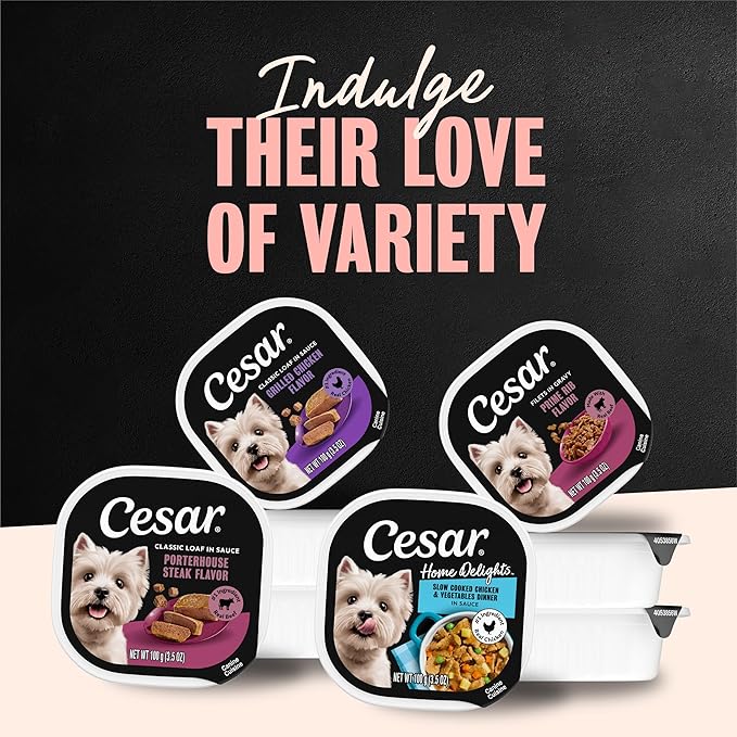 Cesar Loaf & Topper in Sauce Wet Dog Food Angus Beef Flavor with Bacon & Cheese, 3.5 oz. Easy Peel Trays, 24 Count (Pack of 1)