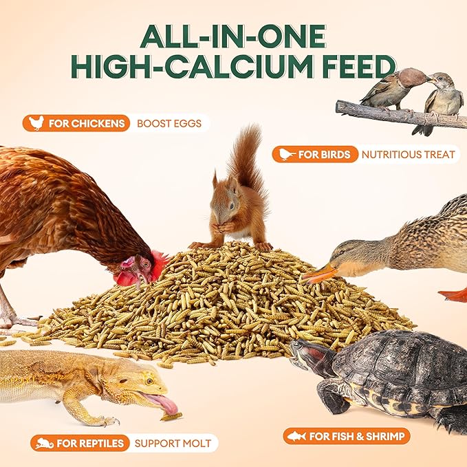 BUCATSTATE 10LB Dried Black Soldier Fly Larvae | 85x More Calcium Than mealworms | High Protein Non-GMO BSFL Treats for Chickens, Ducks, Wild Birds, Reptiles, Hedgehogs & Pond Fish