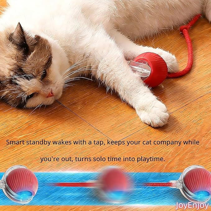 Interactive Cat Toy Ball Automatic Rolling Smart Cat Ball with Tail Motion Activated USB Rechargeable 3 Speed Modes Bird Chirping Durable Silicone Pet Toy for Indoor Cats Multiple Colors (Yellow)