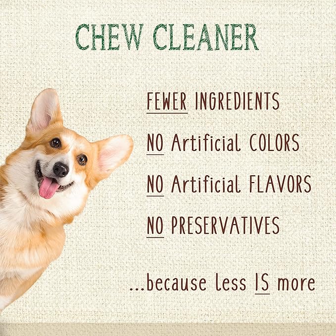 Nylabone Nutri Dent Dog Dental Chews - Natural Dog Teeth Cleaning & Breath Freshener - Dental Treats for Dogs - Filet Mignon Flavor, Small (28 Count) (Pack of 2)