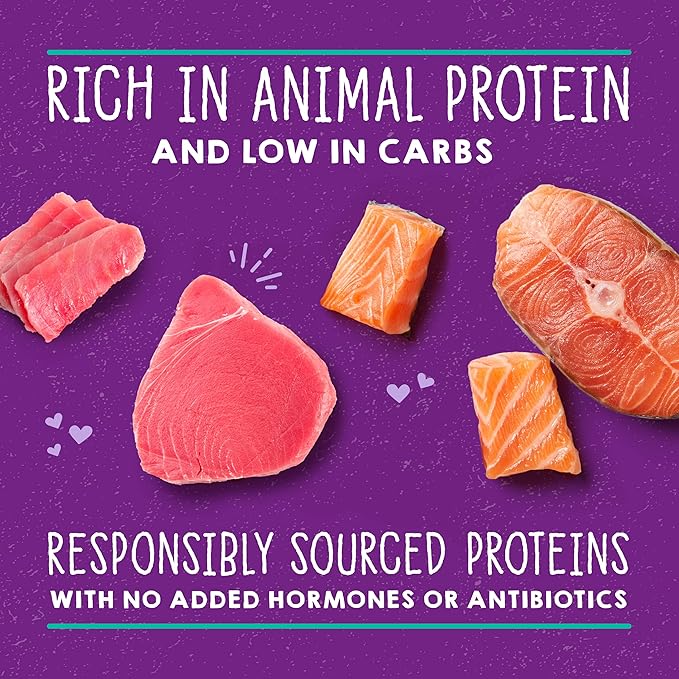Stella & Chewy's Carnivore Cravings Savory Shreds Cans – Grain Free, Protein Rich Wet Cat Food – Wild-Caught Tuna & Salmon Recipe – (2.8 Ounce Cans, Case of 24)