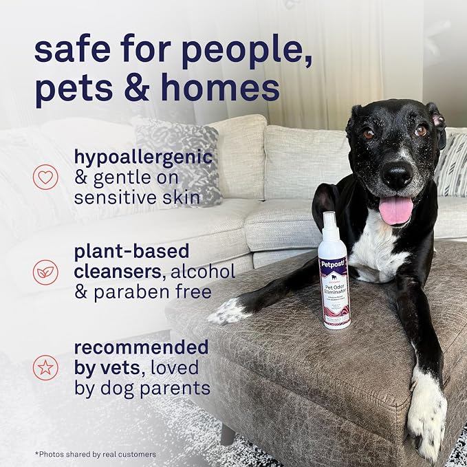 Petpost | Pet Odor Eliminator Spray for Dogs & Cats - Naturally Effective Deodorant and Bad Smell Killer - For Spraying Your Pet or Around the Home 8 oz.