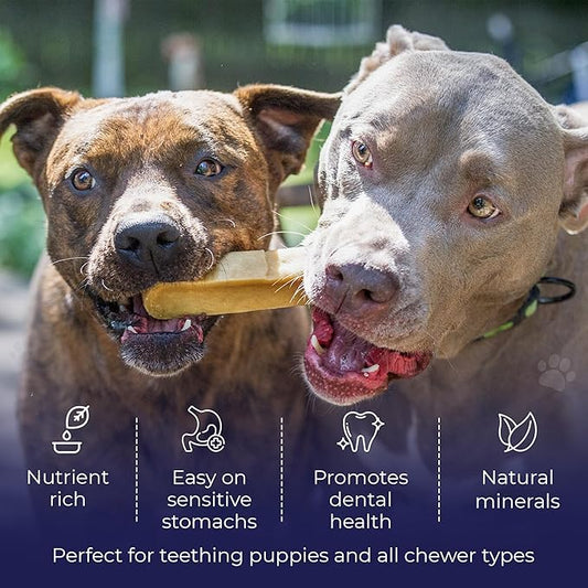 Devil Dog Pet Co. Himalayan Yak Cheese Dog Chews for Large and Giant Breeds & Aggressive Chewers - Long Lasting, Rawhide Free, High Protein - Cleaner Teeth, Anxiety & Boredom Relief - Monster