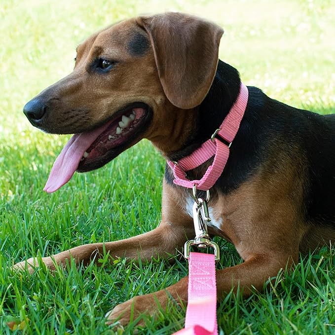 Country Brook Petz - Martingale Dog Collar - Heavy-Duty Training Collar with No Buckle - Service Dog Collar for All Pups - 20 Vibrant Colors (Pink, 1 Inch, Medium)