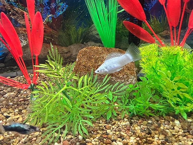 EcoBio-Block Natural Volcanic Rock for Aquarium Water Clarity & Balance — Low-Maintenance Alternative to Weekly Additives — for Freshwater Fish, Turtles, Shrimp & Frogs (Medium, 15-40 gal)