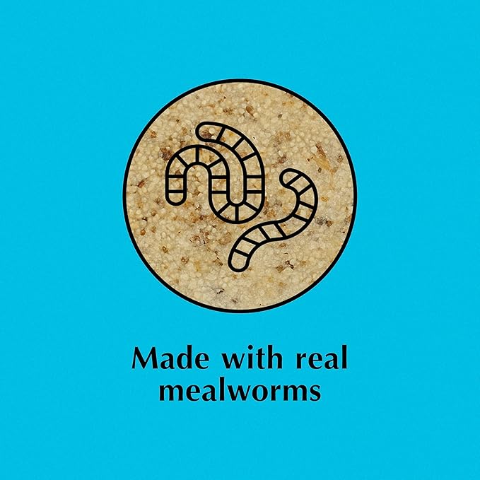 C&S Mealworm Suet Treat, Suet Cakes for Wild Birds, 11 Ounces