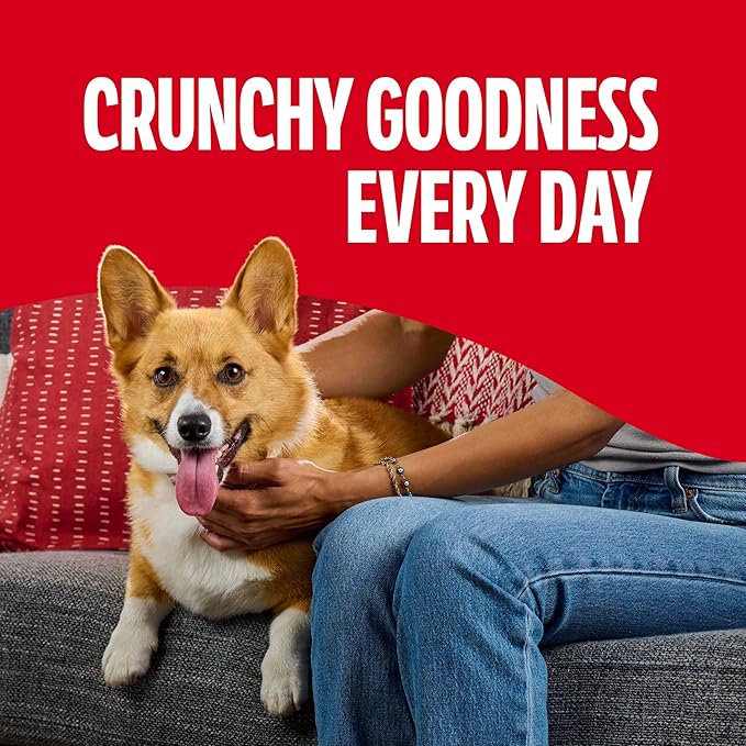 Milk-Bone Flavor Snacks Dog Treats, Small Biscuits, 24 Ounce Crunchy Texture Helps Reduce Tartar (Pack of 2)