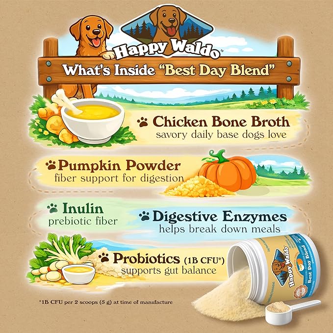 Bone Broth Dog Food Topper – Firm Stool Support, Digestion & Gut Health, Picky Eater Friendly with Pumpkin, Probiotics & Digestive Enzymes