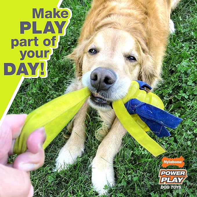 Nylabone Power Play Gripz Felt Soccer Ball Rubber Fetch Toy, Squeaky Ball for Dogs, Medium (1 Count)