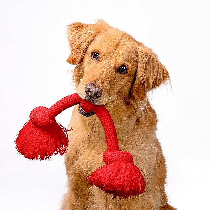 Playology Dog Toys | Dri-Tech Rope Tug of War Dog Toy for Tough Chewers | Beef Scented Jumbo Tug Rope Toys for Large Dogs