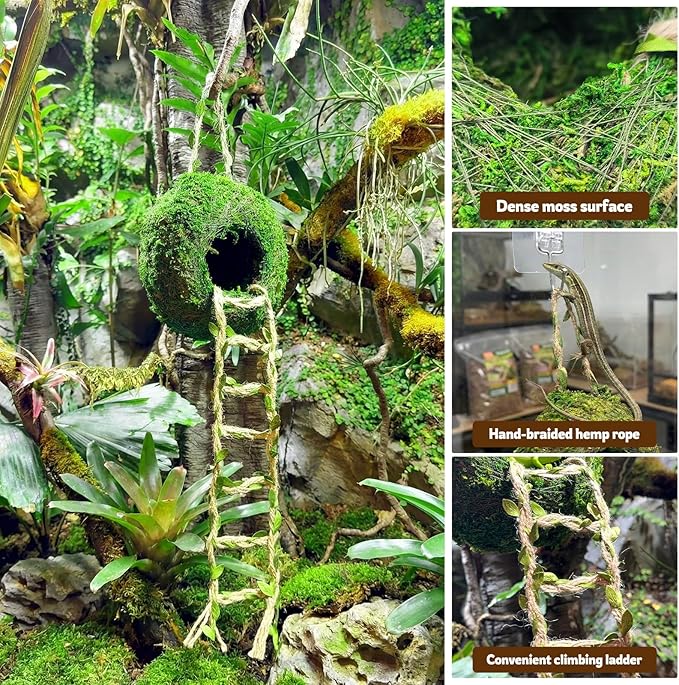 Moss Cave Hideout with Hanging Rope & Hemp Climbing Ladder – Natural Reptile Tank Decor Accessories for Crested Geckos, Chameleons, Tree Frogs, Leopard Geckos & Snakes. Terrarium & Vivarium Decor (4")