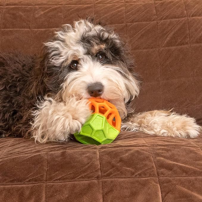 SPOT Geo Play Dual-Texture Cube Dog Toy – Durable Rubber & Foam, Squeaky, Floating, Treat-Dispensing Toy for Interactive Play, 3.5 Inches