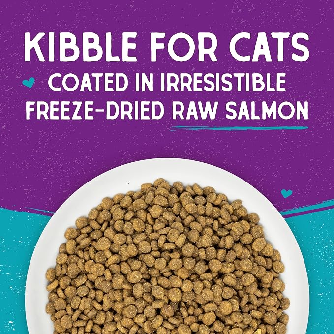 Stella & Chewy's Raw Coated Cat Food - High Protein, Grain-Free Kibble with Wild-Caught Salmon - Premium Digestive Support with Probiotics - Natural Small Kibble - Perfect for Picky Eaters - 5 lb Bag