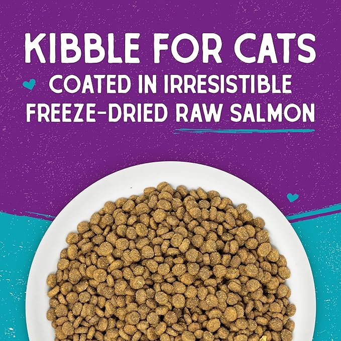 Stella & Chewy's Raw Coated Cat Food - High Protein, Grain-Free Kibble with Wild-Caught Salmon - Premium Digestive Support with Probiotics - Natural Small Kibble - Perfect For Picky Eater - 2.5lb Bag