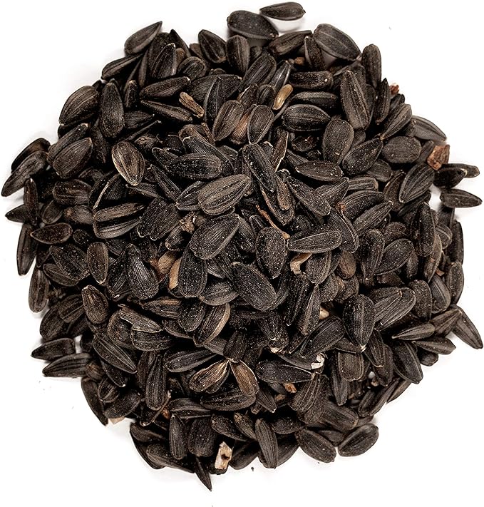 Wagner's 52023 Black Oil Sunflower Seed Wild Bird Food, 5-Pound Bag