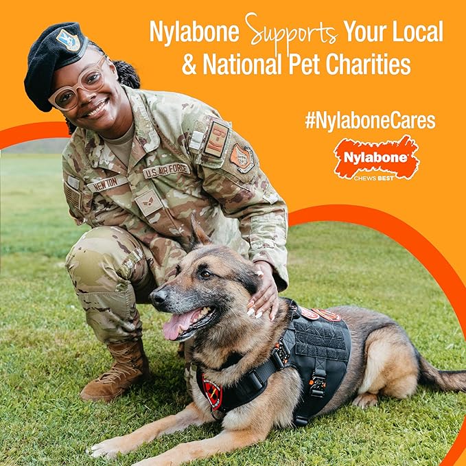 Nylabone Nutri Dent Dog Dental Chews - Natural Dog Teeth Cleaning & Breath Freshener - Dental Treats for Dogs - Filet Mignon Flavor, X-Large (1 Count)