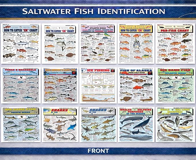 Saltwater Fish Identification Chart Set - Waterproof Quick Reference Fishing Guides - 100+ Species ID - (Atlantic and Pacific) - Double-Sided & Easy to Read - Great Gift for Beginners