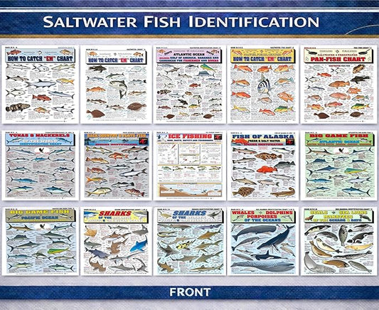 Saltwater Fish Identification Chart Set - Waterproof Quick Reference Fishing Guides - 100+ Species ID - (Atlantic and Pacific) - Double-Sided & Easy to Read - Great Gift for Beginners