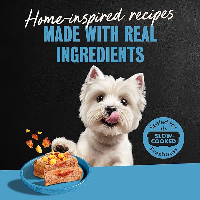 Cesar Loaf & Topper in Sauce Wet Dog Food, Rotisserie Chicken Flavor with Bacon & Cheese, Wet Food for Dogs, 3.5 oz Easy Peel Trays, 24 Count (Pack of 2)