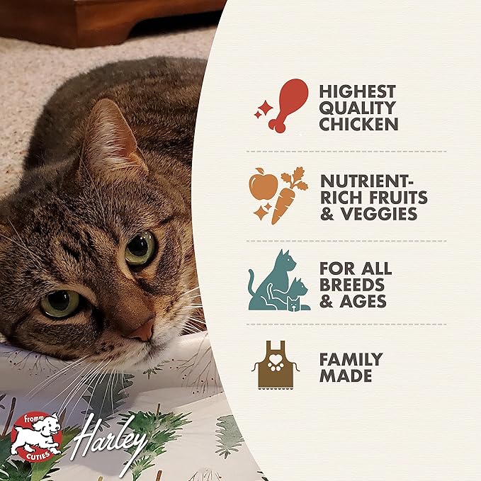 Fromm Four-Star Nutritionals Chicken A La Veg Cat Food - Premium Dry Cat Food - Chicken Recipe - 4 lb