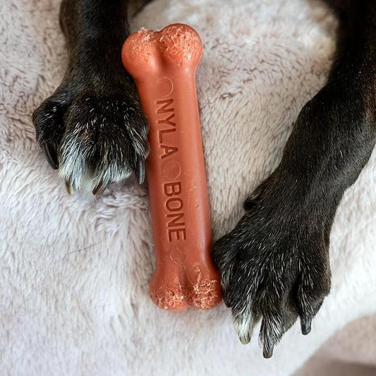 Nylabone Original Bone Power Chew Toy for Dogs, Durable & Tough Dog Toys for Aggressive Chewers, Bacon Flavor, Small - Up to 25 lbs - Up to 25 Ibs, 1 Count