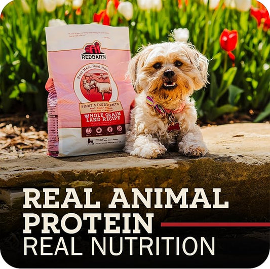 Redbarn Grain-Free Puppy Dry Dog Food Kibble 22 lbs - Beef & Lamb Recipe with DHA, EPA, Probiotics for Brain Development, Digestive Health, Skin & Coat Support, Made in USA