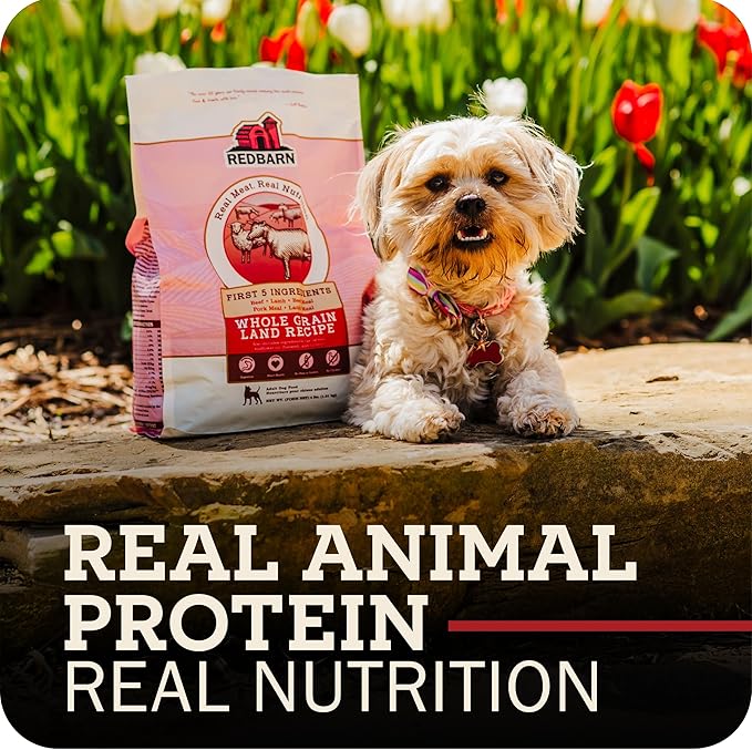 Redbarn Whole Grain Large Breed Dog Food 15 lbs - High Protein Beef & Lamb Recipe Dry Kibble with Glucosamine for Adult Dogs - Made in USA Chicken Free Wholesome Formula