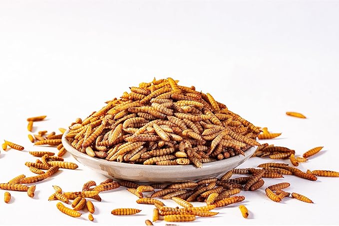 I LOVE WORMS Dried Black Soldier Fly Larvae (10lb), 100% Natural Non-GMO, Treat for Chickens, More Calcium Chicken Feed Than Mealworms