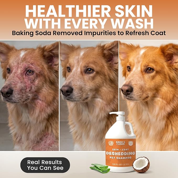 Deshedding Dog Shampoo, Gallon Sized - Skin and Coat Shedding Shampoo with Pump, 18:1 Dilution - Made with Baking Soda, Aloe, and Coconut for Buildup and Dander