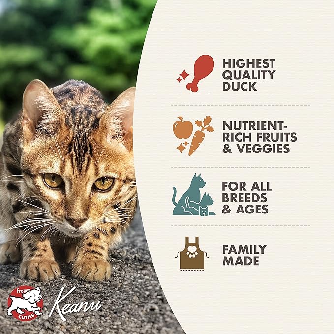 Fromm Four-Star Nutritionals Hasen Duckenpfeffer Cat Food - Premium Dry Cat Food - Rabbit Recipe - 10 lb