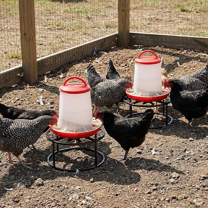 Cedilis 2 Pack Chicken Feeder Stand, Heavy Duty Iron Stand for Chicken Coop Poultry Feeder and Waterer Buckets Indoor Outdoor, Black