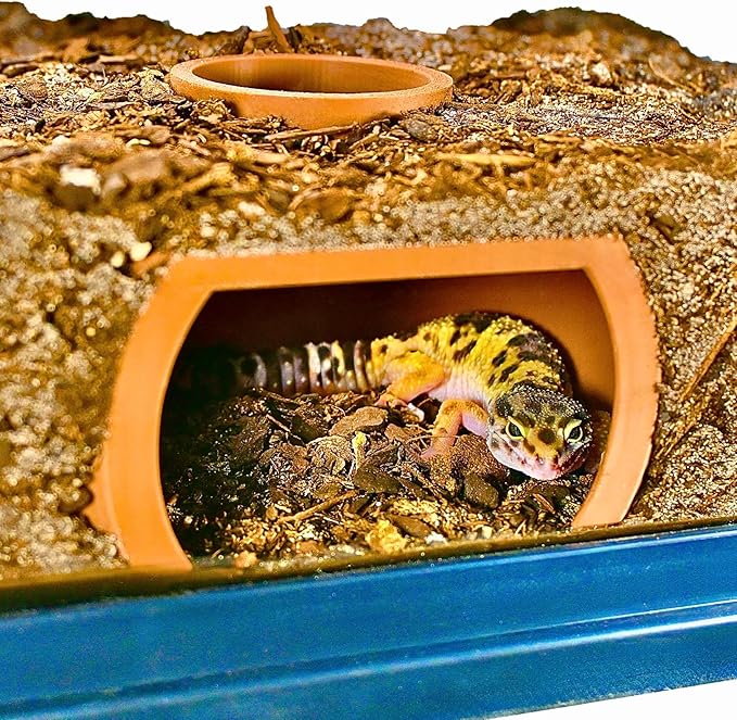 Reptile Underground Cave Viewing Hide | Hognose Snake Leopard Gecko Hide Habitat Tank Enrichment | Reptile Decoration Accessories Supplies Toys Ornaments