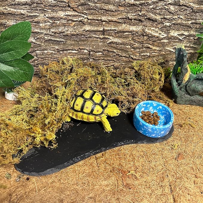 Tfwadmx Reptile Basking Platform,11''x5.5'' Tortoise Rock Plate Feeding Food Bowl Dish Feeding Slate Turtle Bathing Resting Platform for Lizard Gecko Bearded Dragon Chameleon Snake Frog