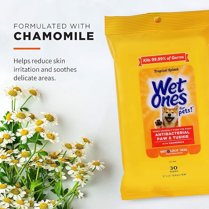 Wet Ones for Pets Paw and Tushie Dog Wipes with Chamomile, Tropical Splash Scent - Cleansing Grooming Wipes for Dog Paws and Butt Between Baths, Wet Lock Seal, 30 Count